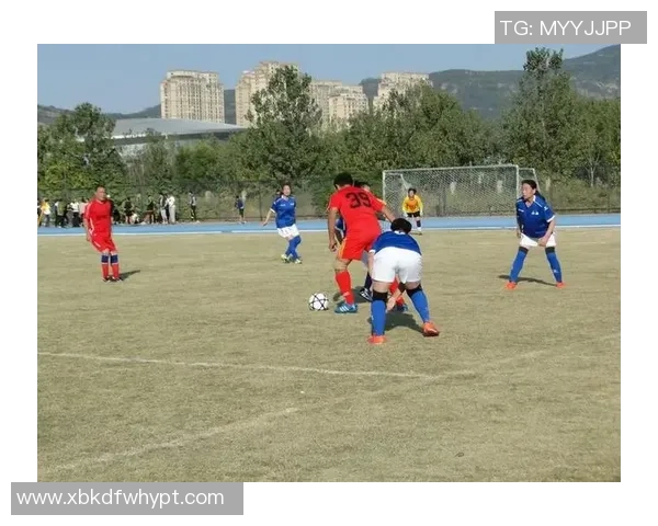 足球明星的职业生涯与健康长寿之间的关系探讨